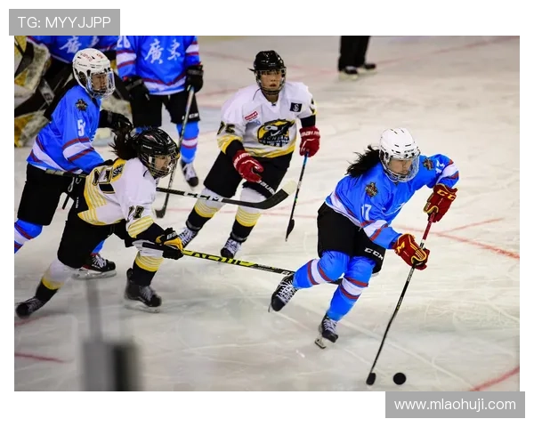 冰球突破豪华版模拟器游戏评测,真实还原冰球比赛的刺激与激情