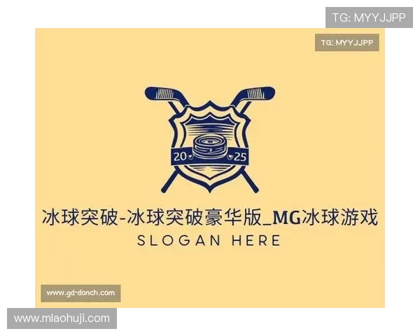 冰球突破豪华版网站玩家评价与真实体验分享助你选择最佳平台