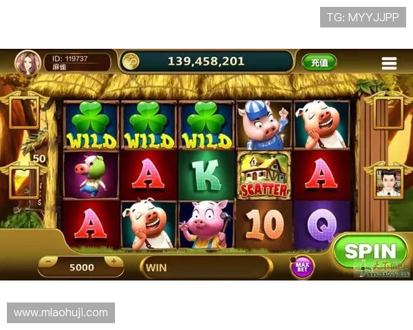 休闲老虎机游戏：多样化的游戏模式满足不同玩家的需求，享受无限欢乐时光