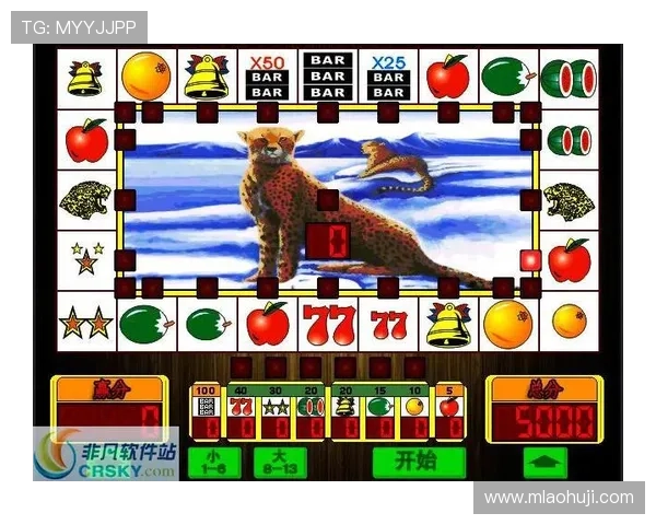 老虎机专卖店:打造专业化的游戏设备销售与服务平台